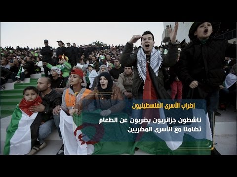 شاهد ناشطون جزائريون يضربون عن الطعام