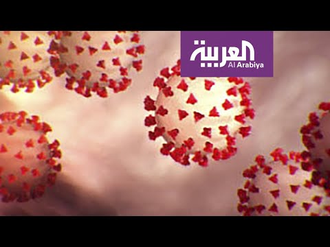 شاهد  أجابت نخبة من الأطباء على العديد من الأسئلة الشائعة عن الفيروس